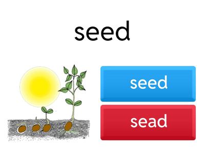 Unit 2 - Long 'e' - Little Blue Dot 3