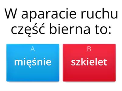 człowiek