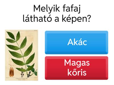Fák