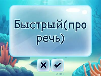 Новые слова