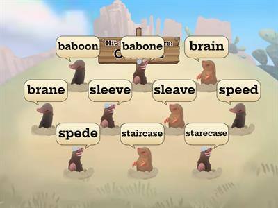 Wonders Unit 5 Week 3 Spelling