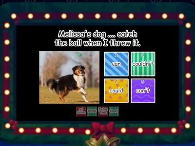 Could / couldn't / can / can't