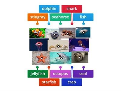 Sea animals