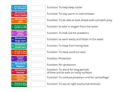Animal Structures and Functions