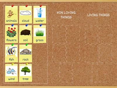 Living things and Non-living things                    