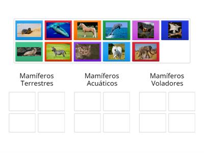 Clasificación de los mamíferos según su tipo de hábitat