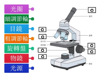 複式顯微鏡