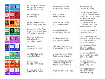  Solutions Intermediate. 3A Parts of the body   