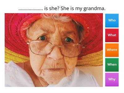 Wh words - What, Who, Where, When, Why