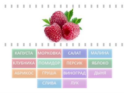 16. Ы: ФРУКТЫ И ОВОЩИ