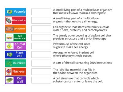 Organelles