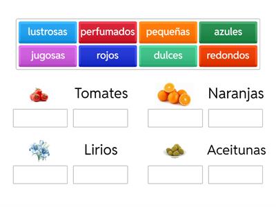 La tortilla de papas (adjetivos)