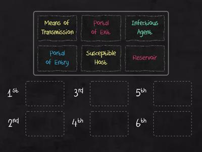 Infection Cycle 