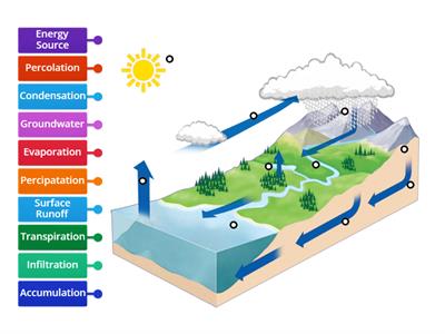 Water Cycle Labeled Diagram (5th Grade Science)