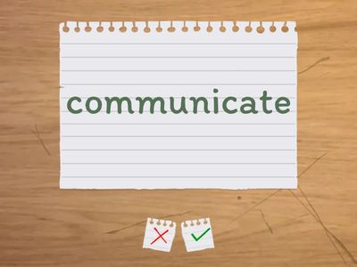 Ants and Spiders Spelling