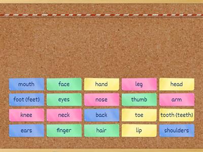 My_body_Find the match #my_teaching_stuff