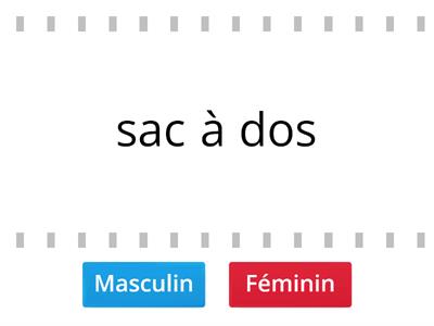 Bien dit! 1 - Vocabulaire 4.2 - Masculin ou féminin ?