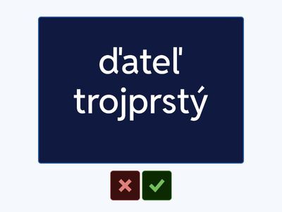 Precvičovanie - slovenské - latinské názvoslovie/ ZOOLÓGIA