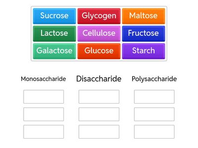 Classes of Carbohydrates