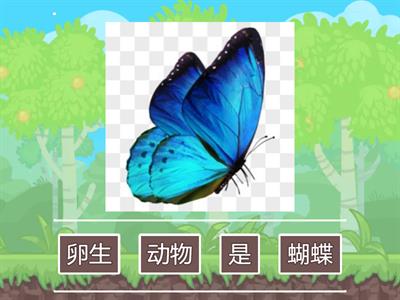 二年级 科学 动物