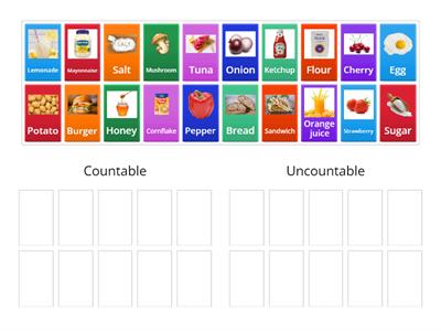 Focus 1 unit 2.2 countable/uncountable nouns 