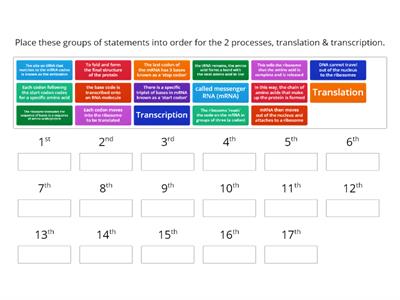 CAX KS4 Protein synthesis consists of two stages – transcription and translation. 