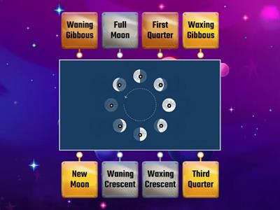 What's the label? Phases of the Moon