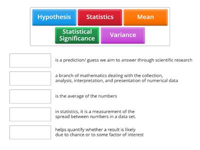 Key Terms Quiz