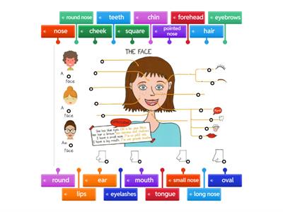 5e FANTASTIC BEASTS - Physical Description