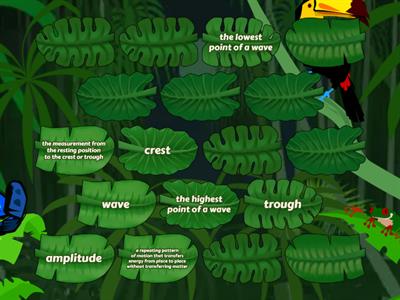 Waves Definitions