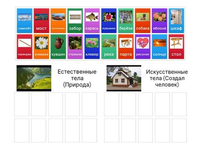 Естественные и Искусственные тела