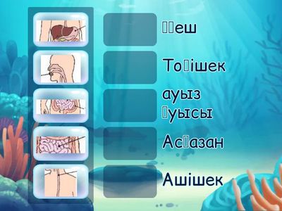 Безымянный2