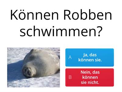 Was Tiere können?