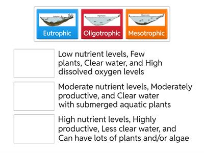 Lake level of Nutrients