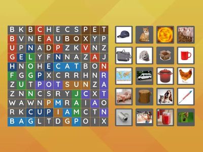 FIND CVC WORDS