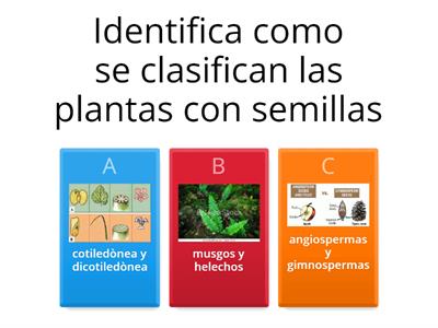 Quizz sobre las plantas con semilla