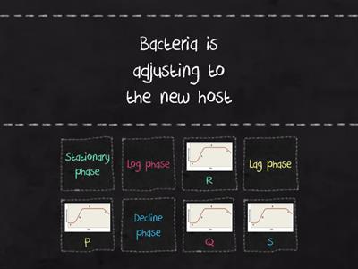 C03. Bacteriology (3) - Phases of Growth