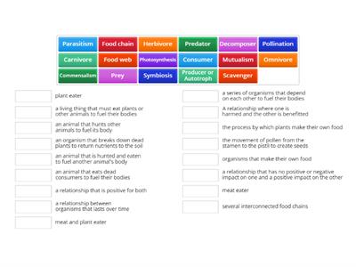 Relationships/Food Web/Food Chains/ Pollination