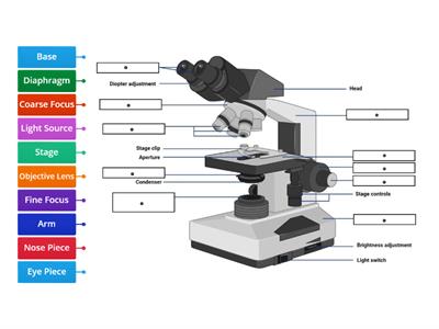 Parts of a Microscope