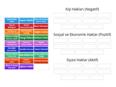 Vatandaşlık Negatif-Pozitif-Aktif Haklar