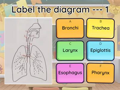 G5 Science Q4 Test 2