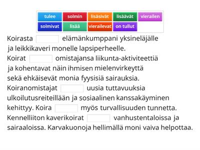 Koira ystävänä ja työtoverina