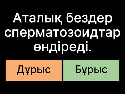 Порно өте ауыр