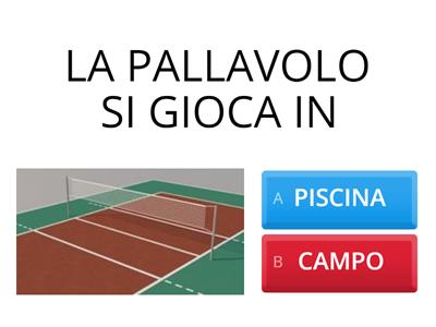PALLAVOLO