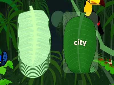 Zero & 1st Conditional, speaking 2