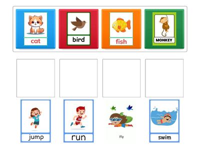 Match an animal and an action