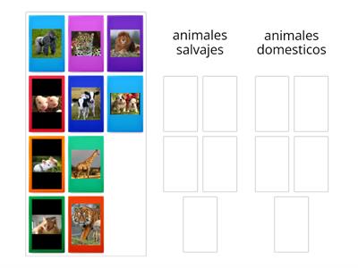 animales