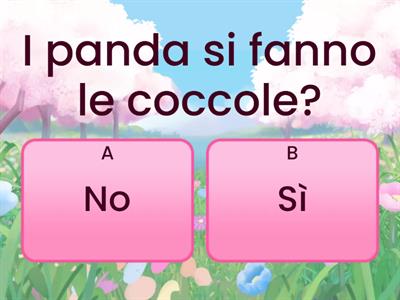 Panda quiz