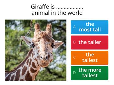 Superlative And Comparative