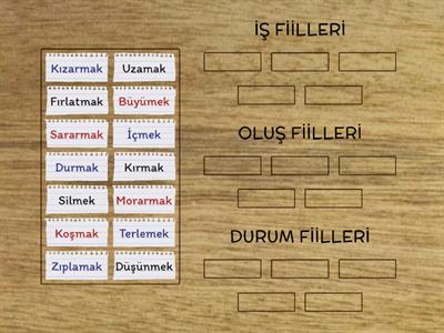 FİİLLER